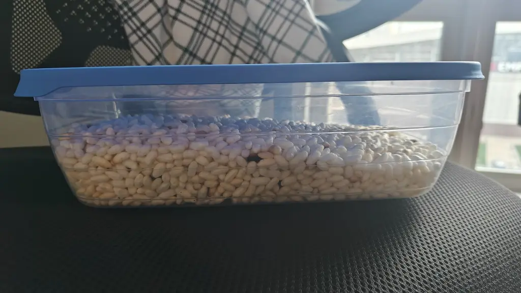 Airtight plastic container 2b.webp