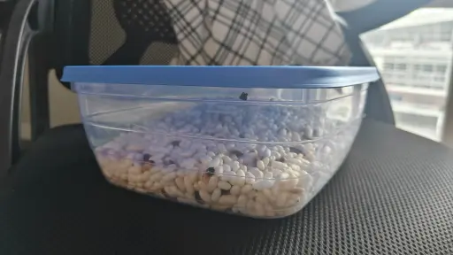 Plastic Container Box